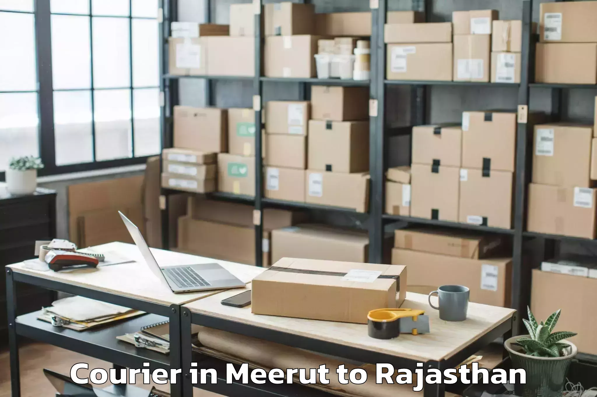 Hassle-Free Meerut to Gangapur Bhilwara Courier